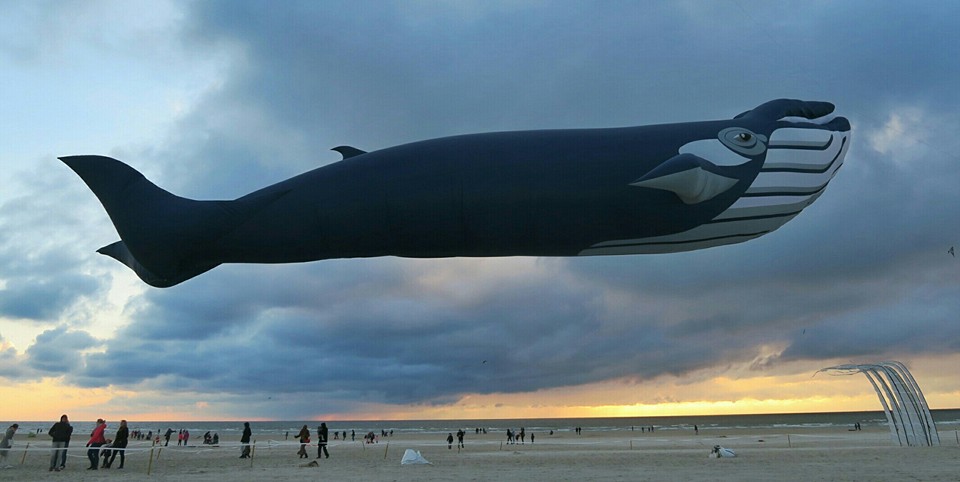 Rencontres berck