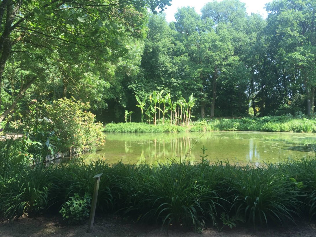 Parc Floral De La Court D Aron Tarif