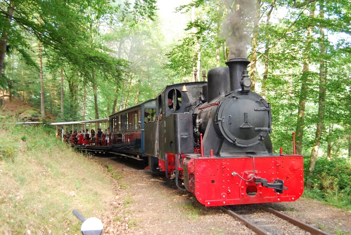 Train Forestier d'Abreschviller Triplancar Train Forestier d'Abreschviller Triplancar