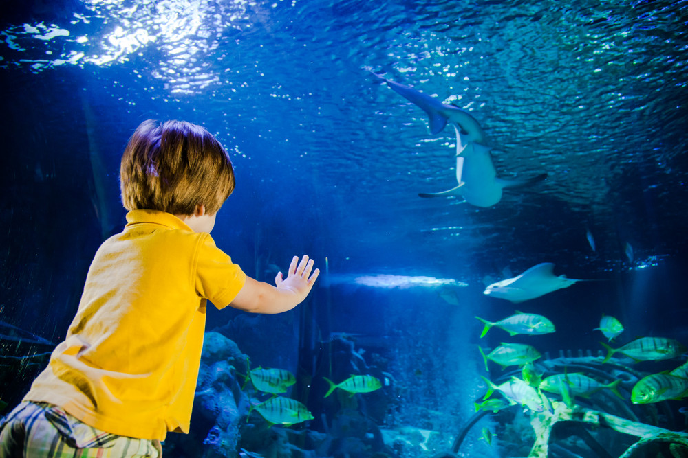 Aquarium SEA LIFE Paris Val d'Europe Triplancar