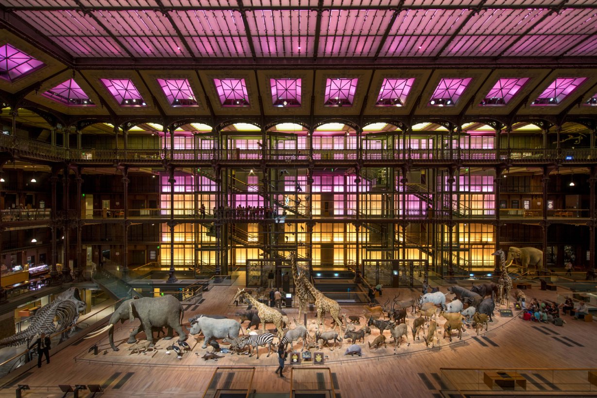 Le Muséum national d'Histoire naturelle | Triplancar