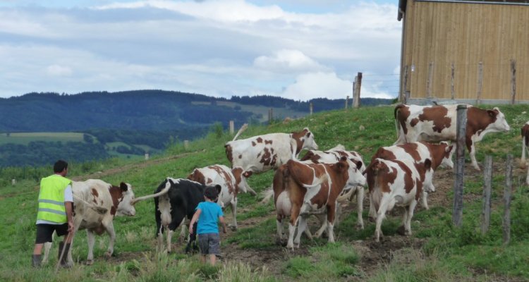 La Ferme D'Emmanuel © otpa-jr