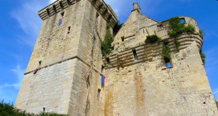 Donjon du Houssoy