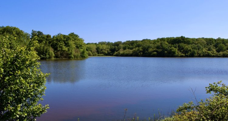 Etang de la Benette à Senonches