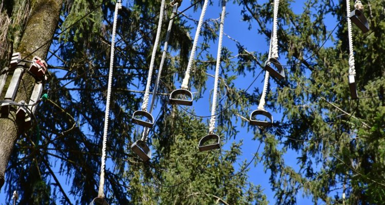 Parc Wizz'Titi