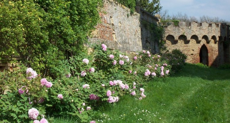 Château de Caumont Visiter