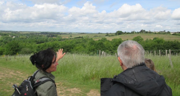 randonnée découverte du vignoble de Chaume