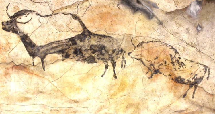 Bisons grotte de Mayrière Bruniquel