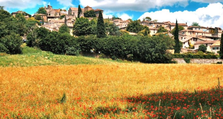 Vue village Bruniquel