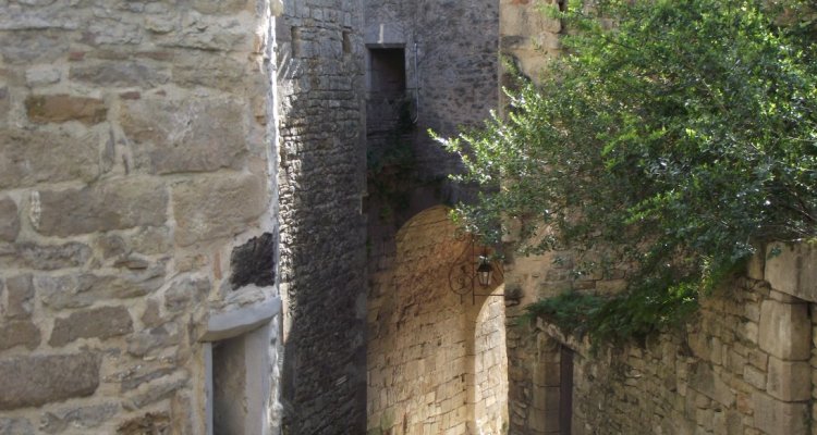 Visite guidée Châteaux de Bruniquel
