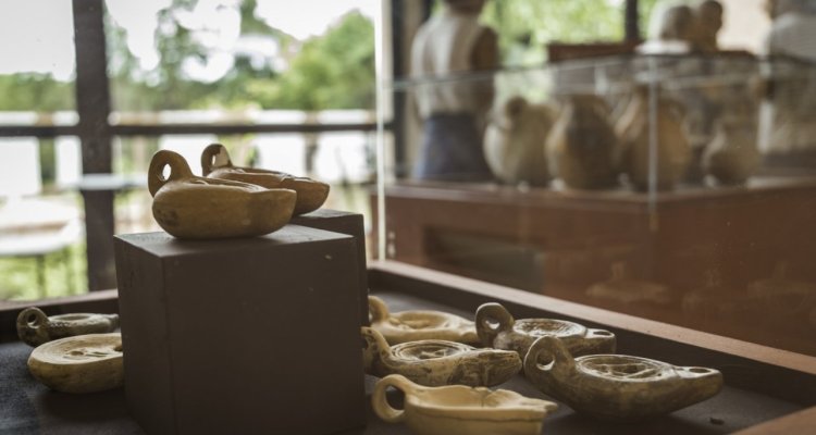 Visiter Archéosite Montans