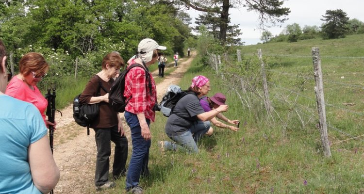 Une faune et une flore à découvrir