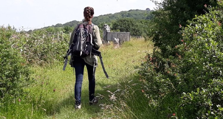 Immersion totale dans une nature sauvage 