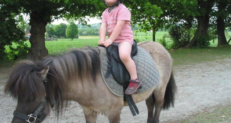 La ferme du monde bapteme poney