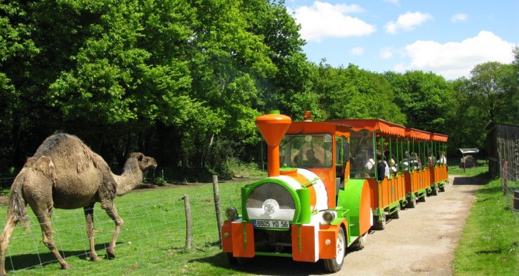 La Ferme du Monde Train avec chameau