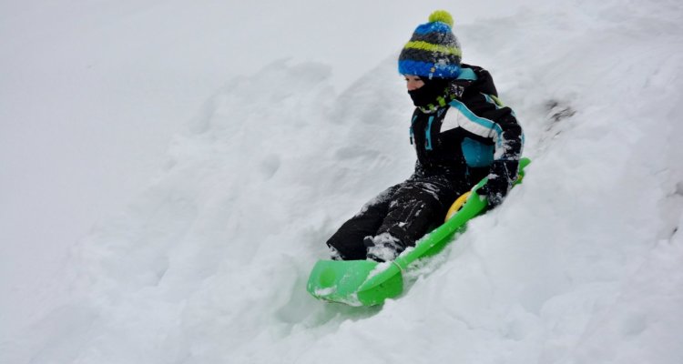 Luge vosges