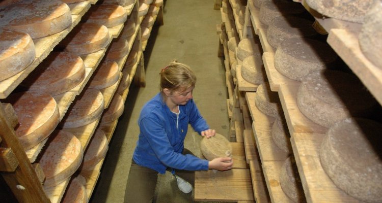 Travail en cave d'affinage La Ferme du Ramier