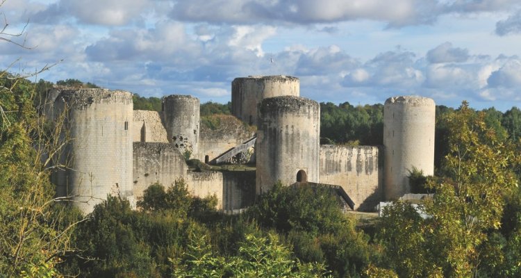 Vue d'ensemble du château de Coudray-Salbart