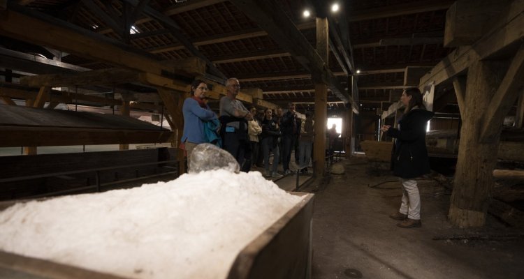 En visite guidée, le public découvre les anciens outils des tireurs de sel