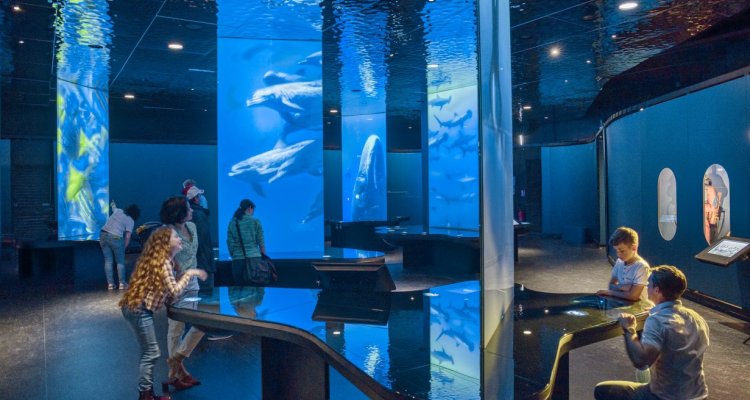 Aquarium la cité de la mer