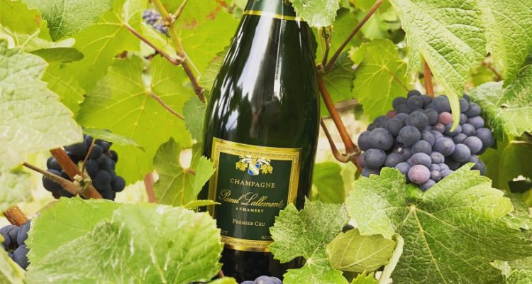 Brut Tradition - Champagne Pascal Lallement