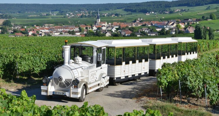 Le Petit Train Des Vignobles de Champagne - Michel Jolyot