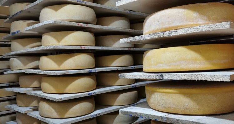 Affinage des fromages, la "Meuhle" et le "Comfiné"