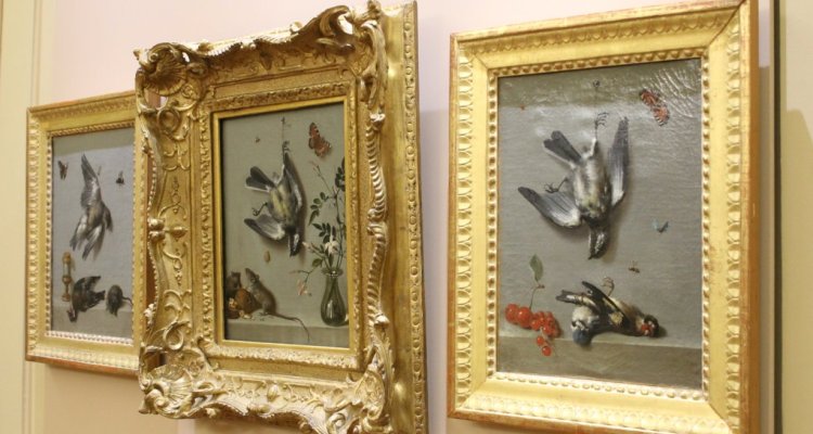 Les natures mortes de Jean-Baptiste Oudry ©Benoît Ducos