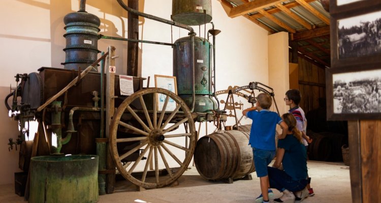 Alambic à jet continu pour la distillation de l'armagnac - © Hervé Leclair/Aspheries