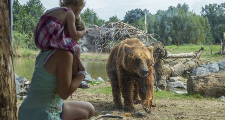 Terres des ours parc de sainte croix