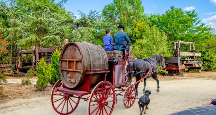 Découverte Ecomusée des Côteaux du Moulin
