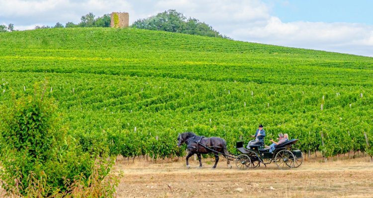Ecomusée des Côteaux du Moulin