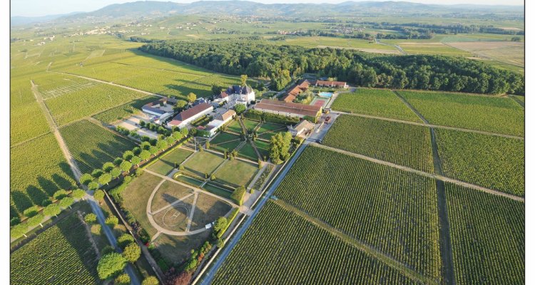 Découvrir Château de Pizay