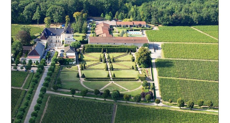 Vue aerienne chateau de Pizay