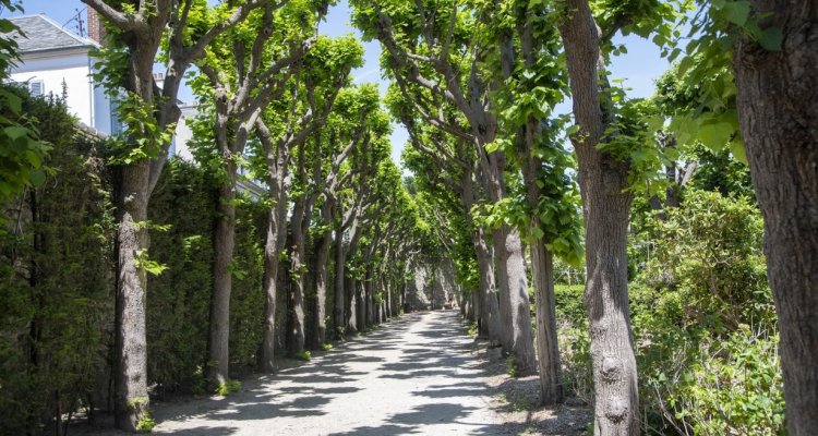 Jardin bossuet visite