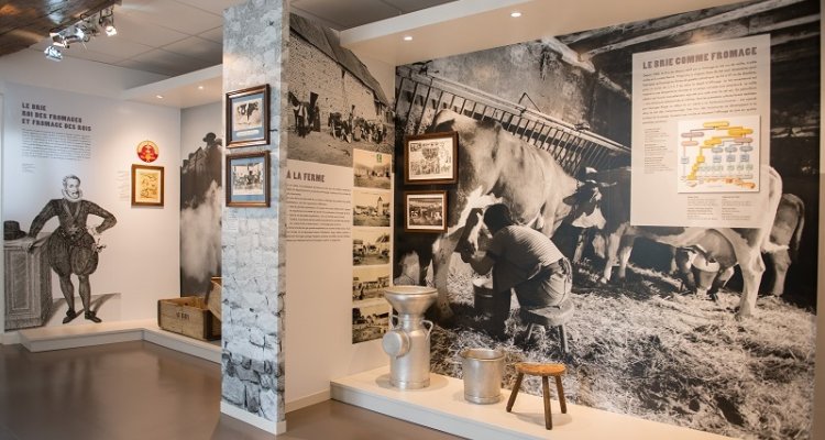 Visite groupes maison du brie de meaux