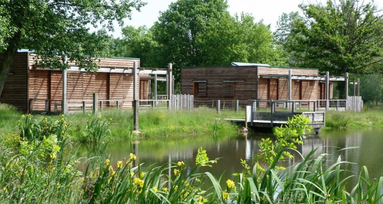 Adillons Vacances chalets
