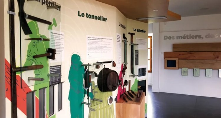 Intérieur de l'espace muséographique dédié à la forêt dans le château de Senonches