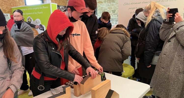 Jeux interactifs à Légumes Project