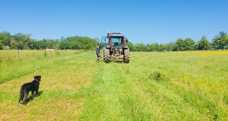 Visite de Ferme - L'agriculture régénératrice au coeur de notre passion