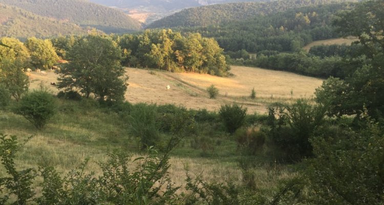 Visite de ferme - panorama
