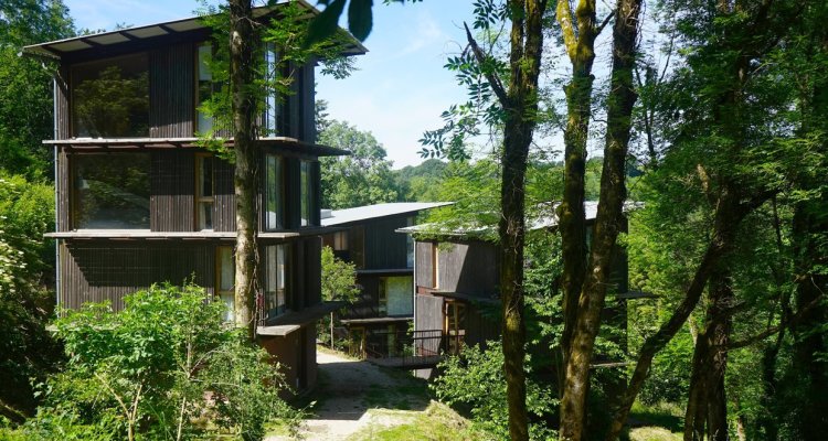 Chambres en forêt