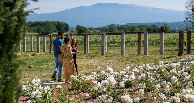 visite guidée chateau la croix des pins