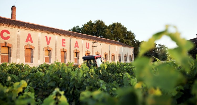 Les Caves du Domaine