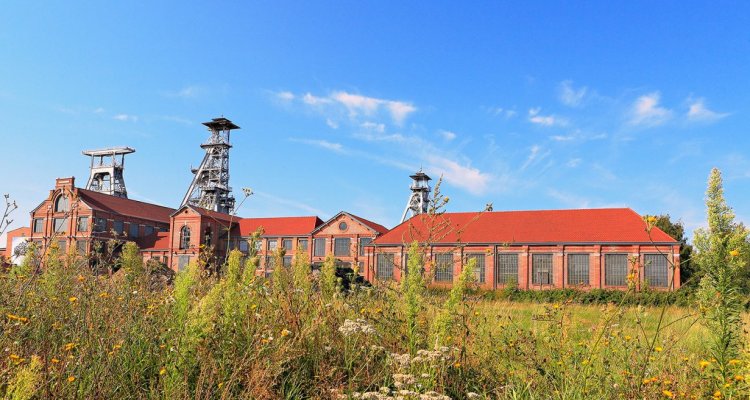 Site minier d'Arenberg, Wallers