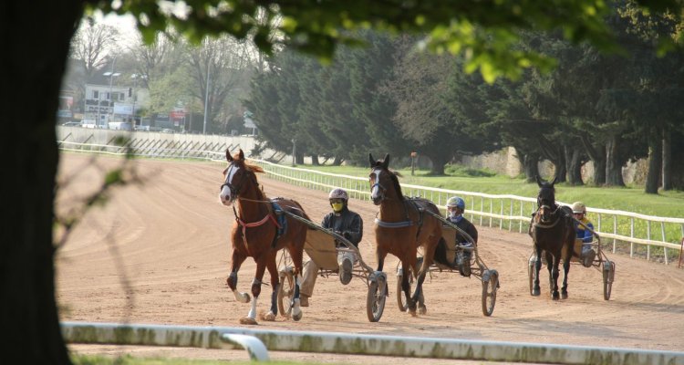 Grande piste d'entraînement de Grosbois (M.-O. Colatrella)