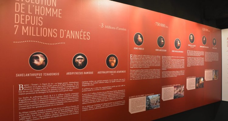Espace évolution de l'Homme