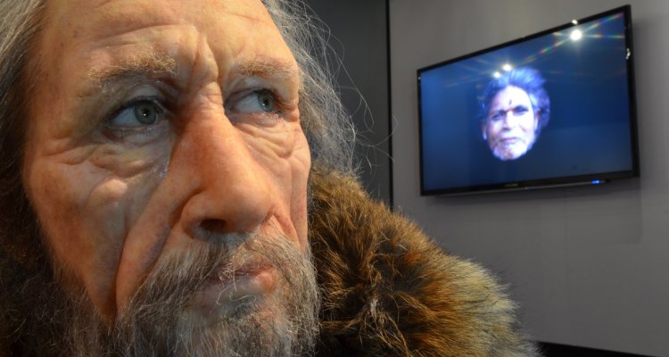 L'évolution de l'Homme