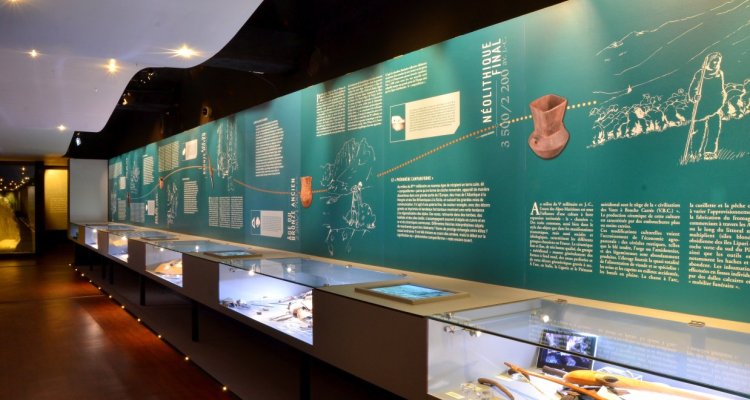 Espace Préhistoire et Protohistoire
