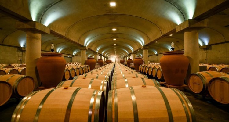Chai d'élevage des vins rouges